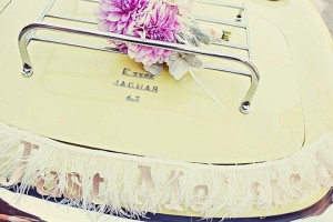 just-married-wedding-sign-feathers.original