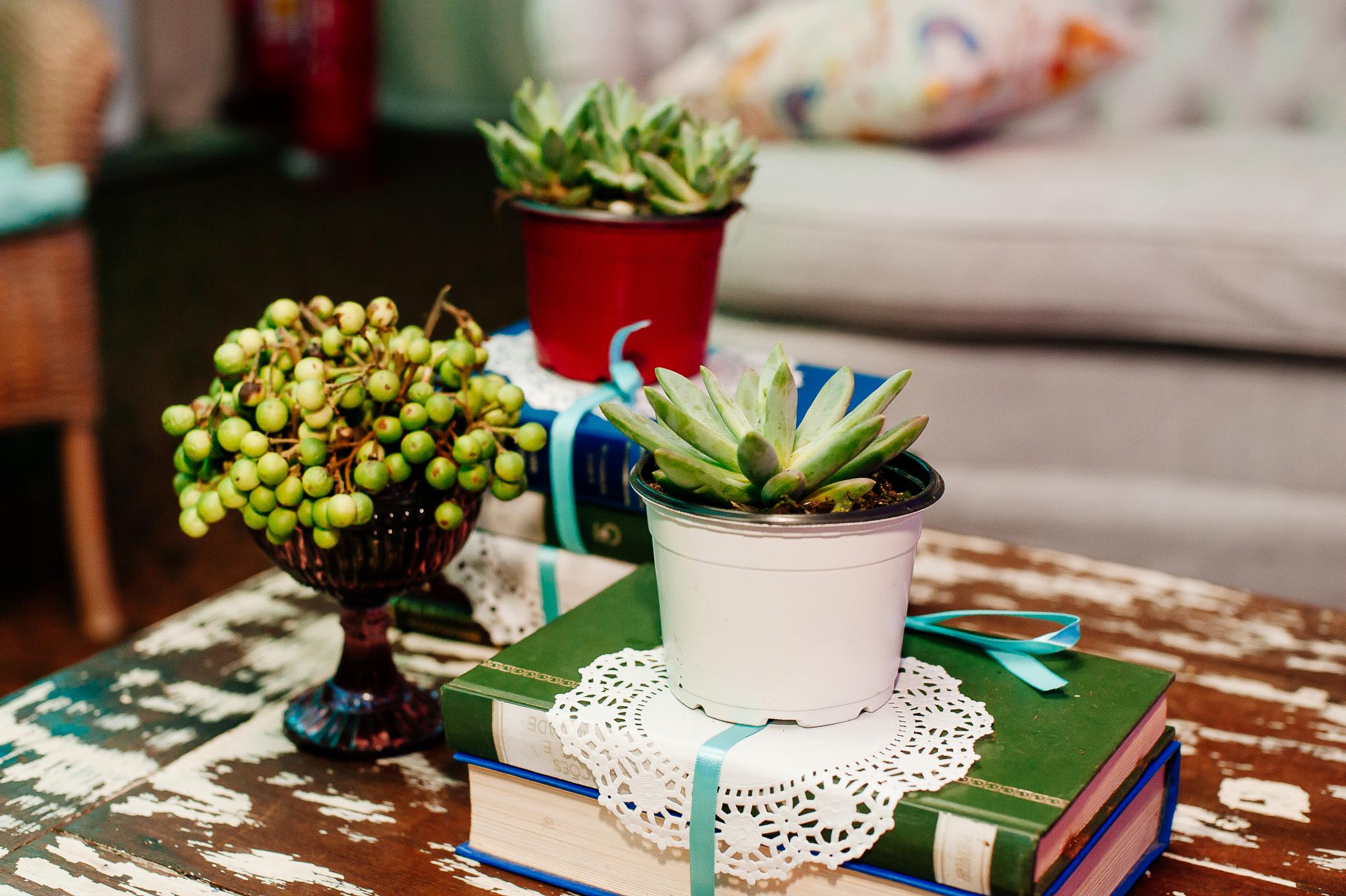 144_decoracao